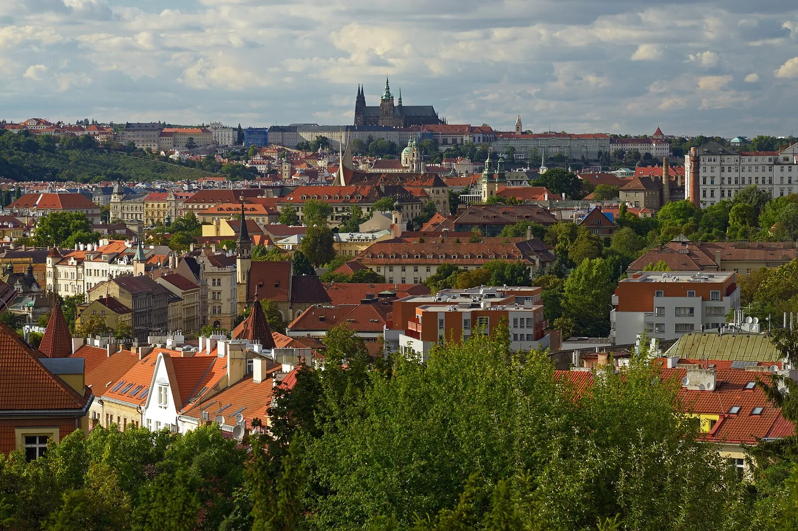 Vue sur Prague et la cathédrale Saint-Guy depuis la colline de Vyšehrad
