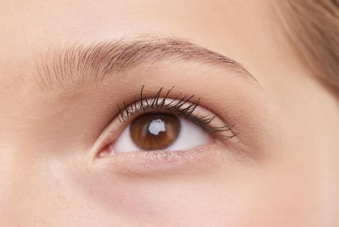 Henné pour sourcils et teinture: des sourcils parfaits